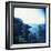 Holga Hawaii II-Jason Johnson-Framed Premium Photographic Print