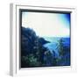 Holga Hawaii II-Jason Johnson-Framed Premium Photographic Print