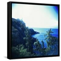 Holga Hawaii II-Jason Johnson-Framed Stretched Canvas