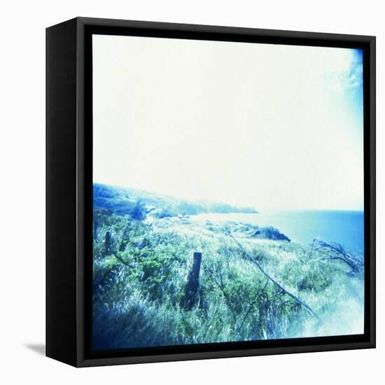 Holga Hawaii III-Jason Johnson-Framed Stretched Canvas