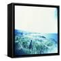 Holga Hawaii III-Jason Johnson-Framed Stretched Canvas