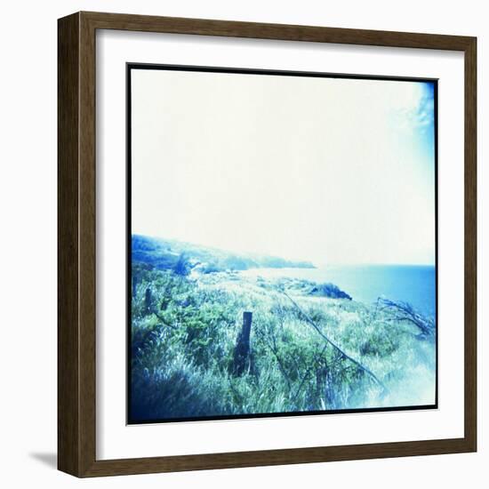 Holga Hawaii III-Jason Johnson-Framed Photographic Print