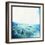 Holga Hawaii III-Jason Johnson-Framed Photographic Print