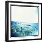 Holga Hawaii III-Jason Johnson-Framed Premium Photographic Print