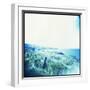 Holga Hawaii III-Jason Johnson-Framed Premium Photographic Print