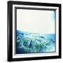 Holga Hawaii III-Jason Johnson-Framed Photographic Print