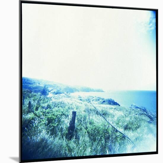 Holga Hawaii III-Jason Johnson-Mounted Photographic Print