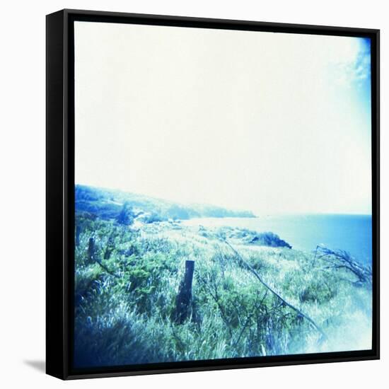 Holga Hawaii III-Jason Johnson-Framed Stretched Canvas