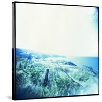 Holga Hawaii III-Jason Johnson-Stretched Canvas