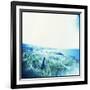 Holga Hawaii III-Jason Johnson-Framed Photographic Print