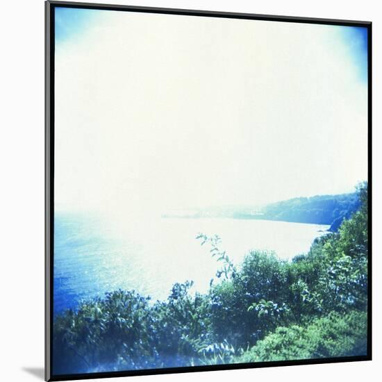 Holga Hawaii VI-Jason Johnson-Mounted Photographic Print