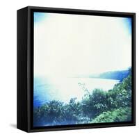 Holga Hawaii VI-Jason Johnson-Framed Stretched Canvas