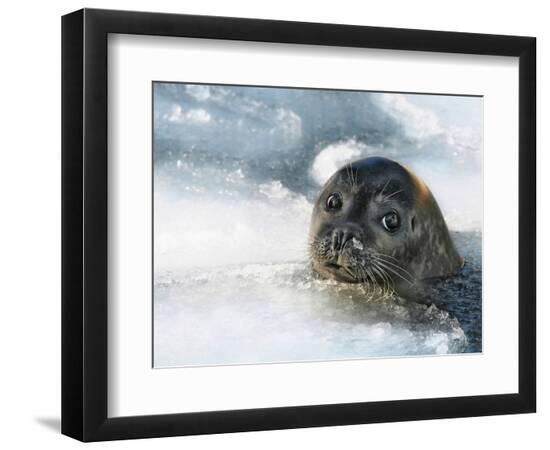 Premium Photographic Print, , large