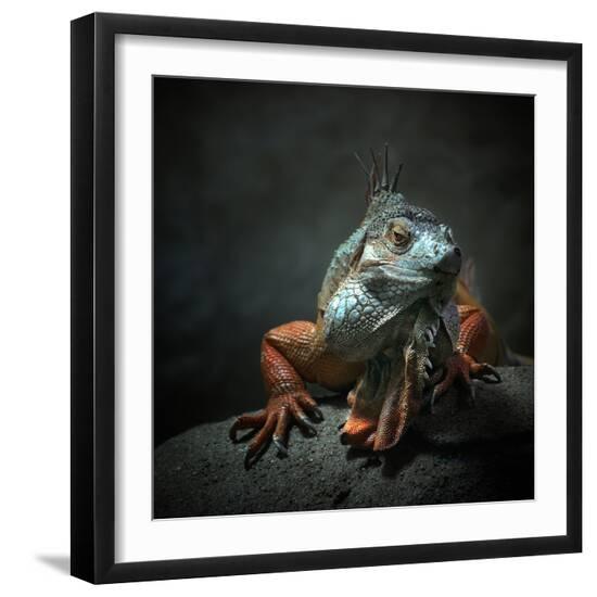 Premium Photographic Print, , large