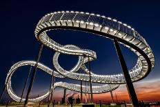 Tiger and Turtle At Dawn-Holger Schmidtke-Photographic Print