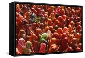 Holi Celebration in Dauji Temple, Dauji, Uttar Pradesh, India, Asia-Godong-Framed Stretched Canvas