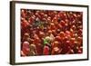 Holi Celebration in Dauji Temple, Dauji, Uttar Pradesh, India, Asia-Godong-Framed Photographic Print