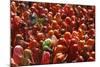 Holi Celebration in Dauji Temple, Dauji, Uttar Pradesh, India, Asia-Godong-Mounted Photographic Print