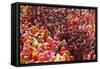 Holi Celebration in Dauji Temple, Dauji, Uttar Pradesh, India, Asia-Godong-Framed Stretched Canvas