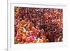 Holi Celebration in Dauji Temple, Dauji, Uttar Pradesh, India, Asia-Godong-Framed Photographic Print