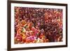 Holi Celebration in Dauji Temple, Dauji, Uttar Pradesh, India, Asia-Godong-Framed Photographic Print