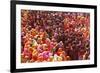 Holi Celebration in Dauji Temple, Dauji, Uttar Pradesh, India, Asia-Godong-Framed Photographic Print