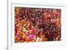 Holi Celebration in Dauji Temple, Dauji, Uttar Pradesh, India, Asia-Godong-Framed Photographic Print