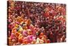 Holi Celebration in Dauji Temple, Dauji, Uttar Pradesh, India, Asia-Godong-Stretched Canvas