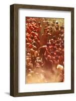 Holi Celebration in Dauji Temple, Dauji, Uttar Pradesh, India, Asia-Godong-Framed Photographic Print