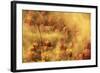 Holi Festival, Nandgaon, India-ClickAlps-Framed Photographic Print