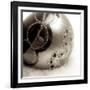 Holiday #2-Alan Blaustein-Framed Photographic Print