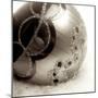 Holiday #2-Alan Blaustein-Mounted Photographic Print