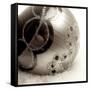 Holiday #2-Alan Blaustein-Framed Stretched Canvas
