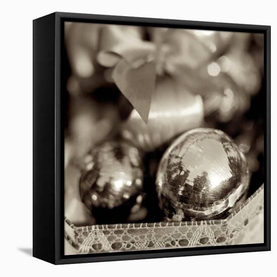 Holiday #3-Alan Blaustein-Framed Stretched Canvas
