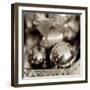 Holiday #3-Alan Blaustein-Framed Photographic Print