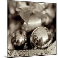 Holiday #3-Alan Blaustein-Mounted Photographic Print
