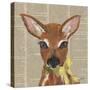 Holiday Animal II-Julie DeRice-Stretched Canvas