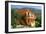 Holiday Apartments, Lourdas, Kefalonia, Greece-Peter Thompson-Framed Photographic Print