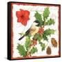 Holiday Birds I-Julie Paton-Framed Stretched Canvas