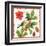 Holiday Birds I-Julie Paton-Framed Art Print