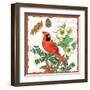 Holiday Birds II-Julie Paton-Framed Art Print