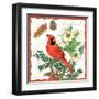 Holiday Birds II-Julie Paton-Framed Art Print