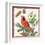 Holiday Birds II-Julie Paton-Framed Art Print