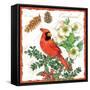 Holiday Birds II-Julie Paton-Framed Stretched Canvas