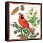Holiday Birds II-Julie Paton-Framed Stretched Canvas