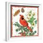 Holiday Birds II-Julie Paton-Framed Art Print