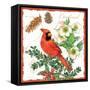 Holiday Birds II-Julie Paton-Framed Stretched Canvas