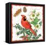 Holiday Birds II-Julie Paton-Framed Stretched Canvas