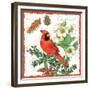 Holiday Birds II-Julie Paton-Framed Premium Giclee Print