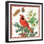 Holiday Birds II-Julie Paton-Framed Premium Giclee Print